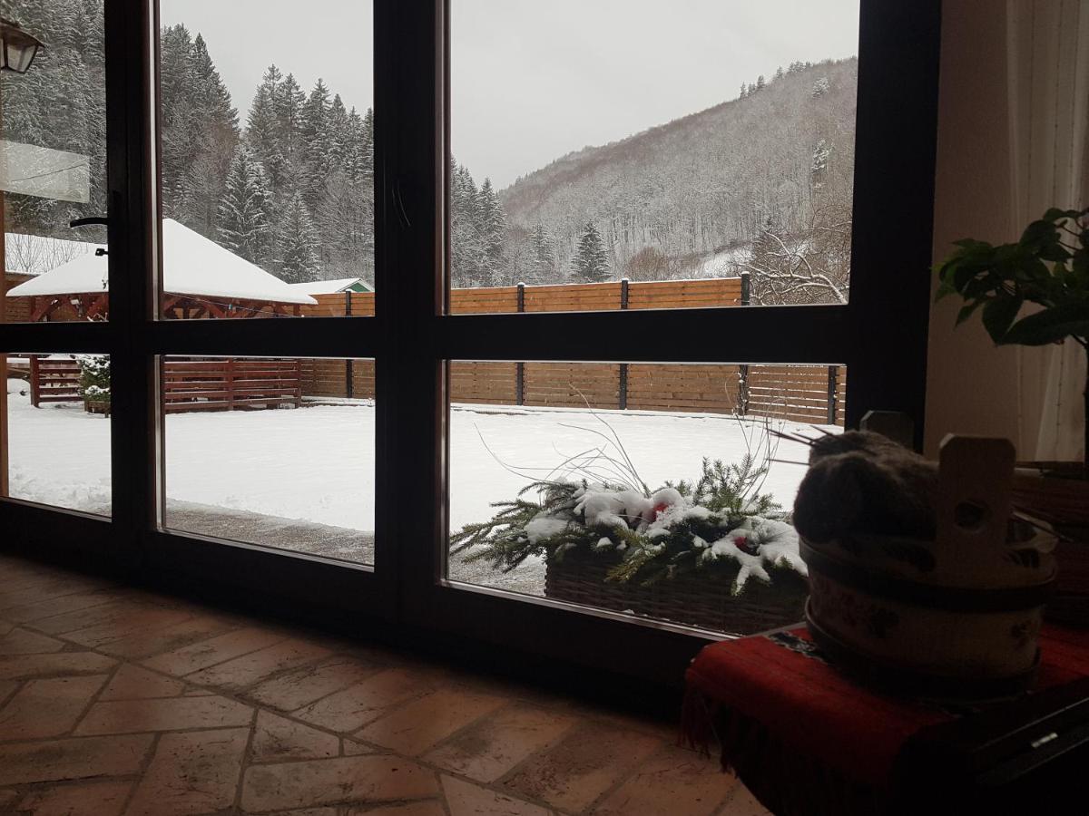 Sura Lu' Vasile. Bed & Breakfast Crivina  Dış mekan fotoğraf