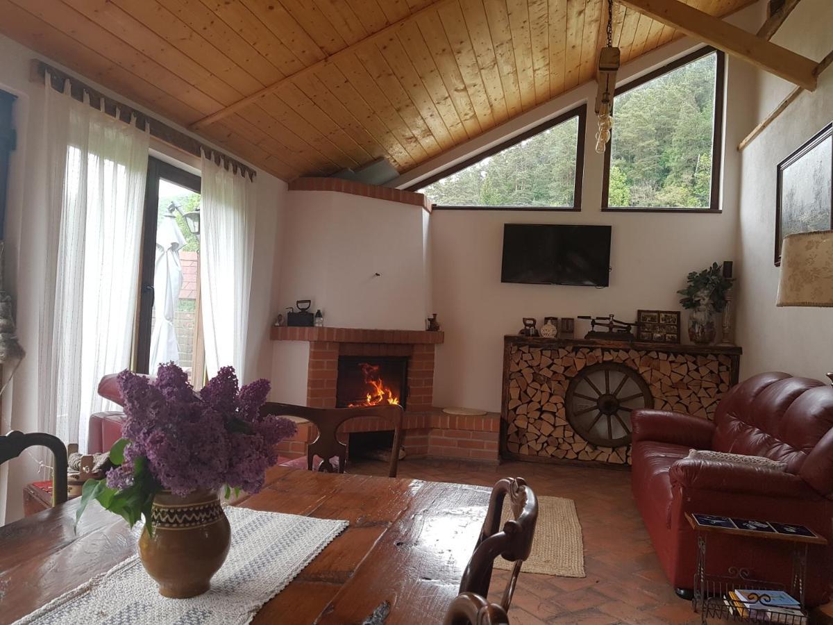 Sura Lu' Vasile. Bed & Breakfast Crivina  Dış mekan fotoğraf