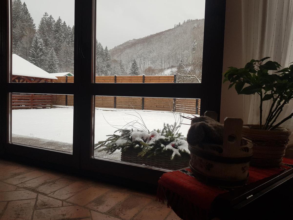 Sura Lu' Vasile. Bed & Breakfast Crivina  Dış mekan fotoğraf