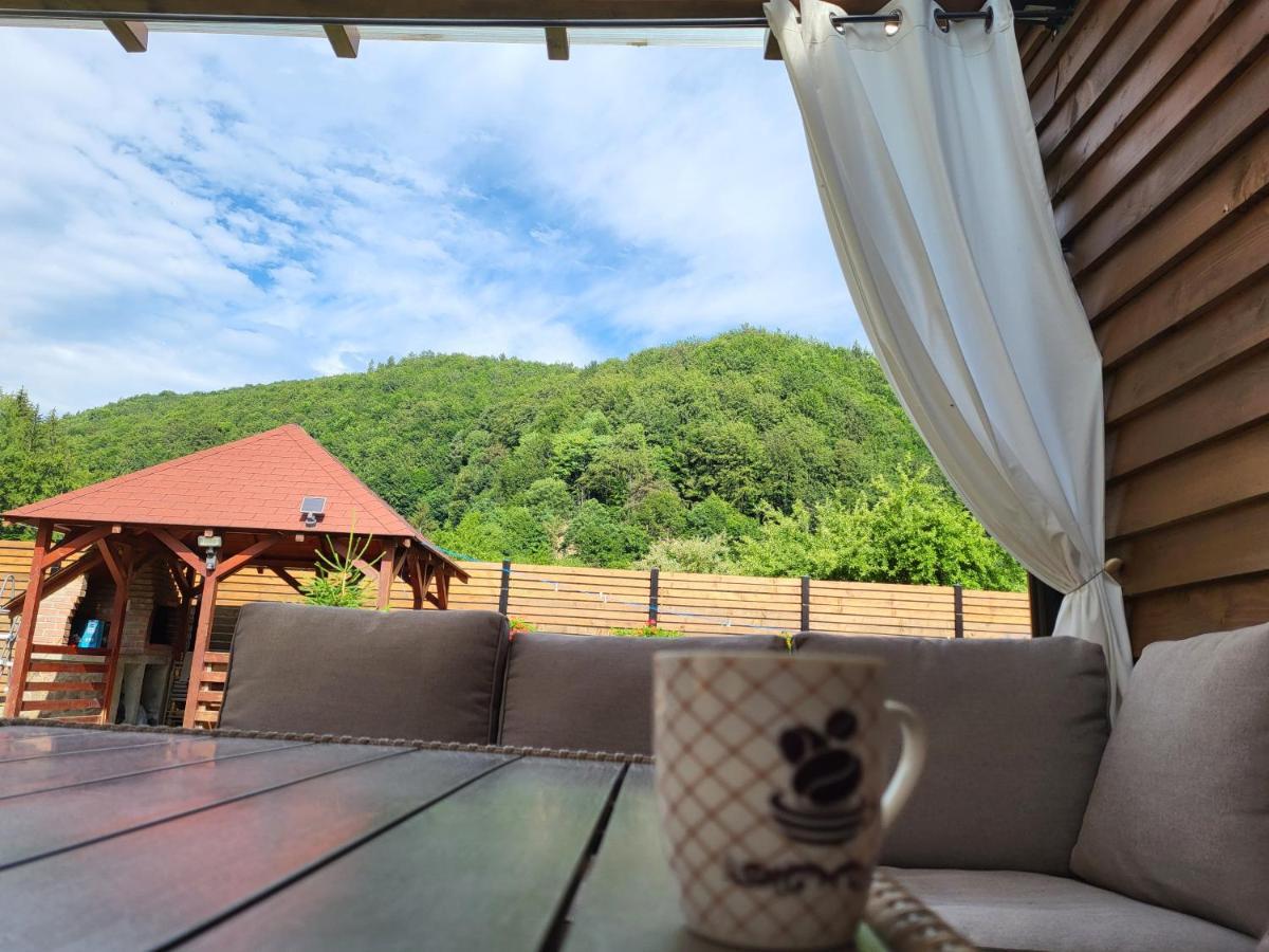 Sura Lu' Vasile. Bed & Breakfast Crivina  Dış mekan fotoğraf