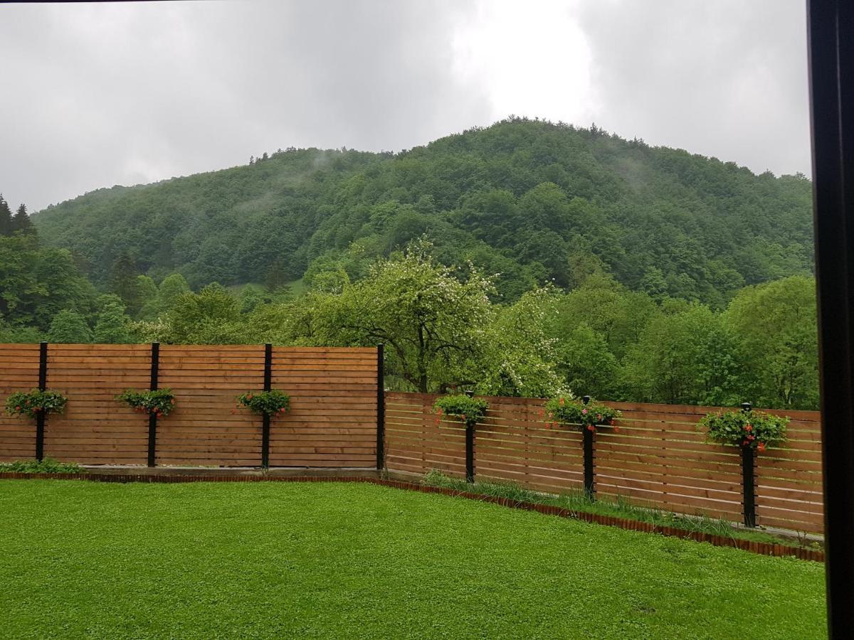 Sura Lu' Vasile. Bed & Breakfast Crivina  Dış mekan fotoğraf