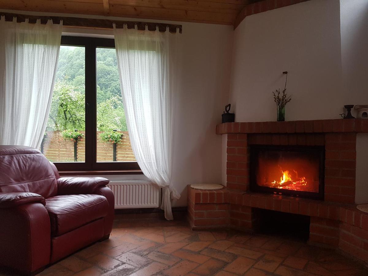 Sura Lu' Vasile. Bed & Breakfast Crivina  Dış mekan fotoğraf